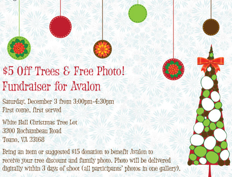 Christmas Tree & Family Photo Fundraiser –  Dec. 3