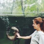 virginia Living museum covid 19 emergency fund