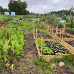 Williamsburg Community Growers