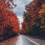 fall-foliage-virginia