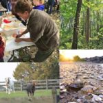 events-at-chippokes state park