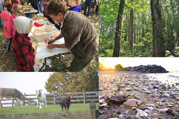 events-at-chippokes state park