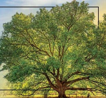 juneteenth sunrise service