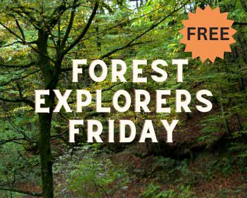 Forest-Explorers-Friday