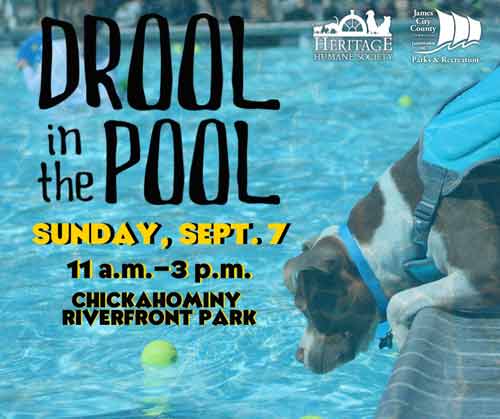 Drool in the Pool – Take Your Pooch For a Swim!  September 7