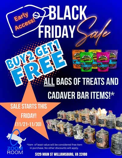 zoom-room-dog-williamsburg