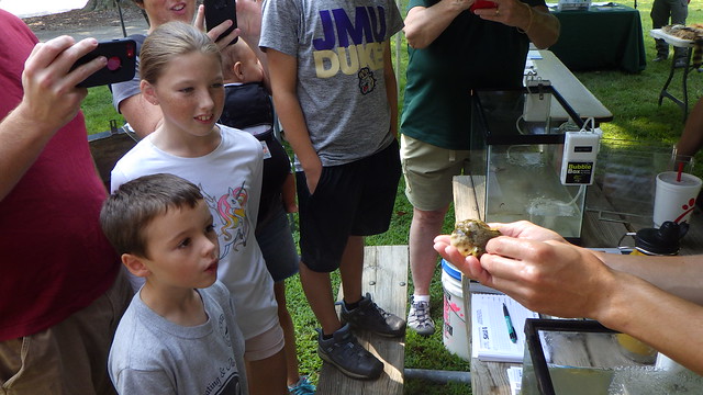 youth adventures york river state park